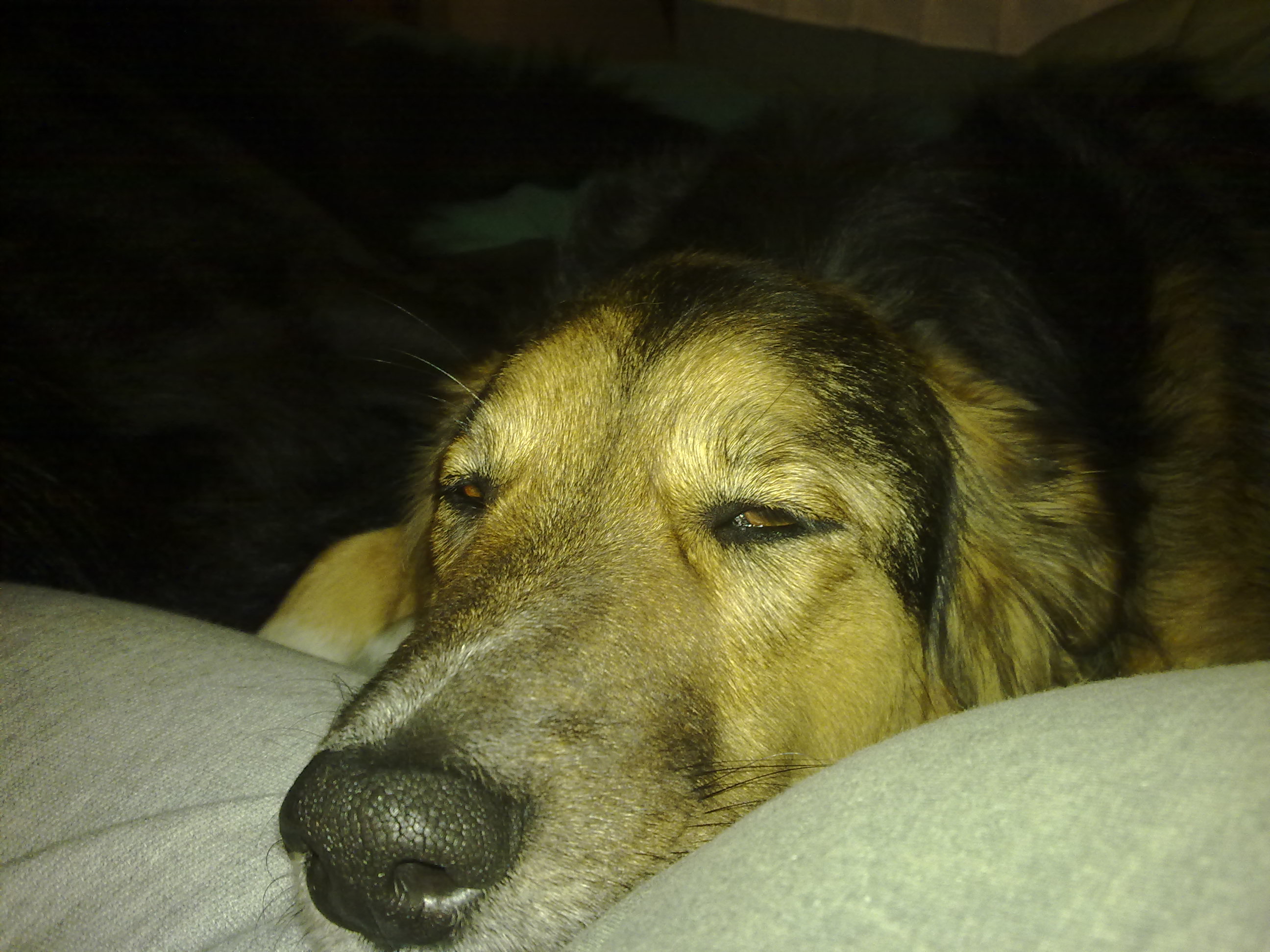 fotos/2010-07-19 - Mision Mundial/11062010432.jpg